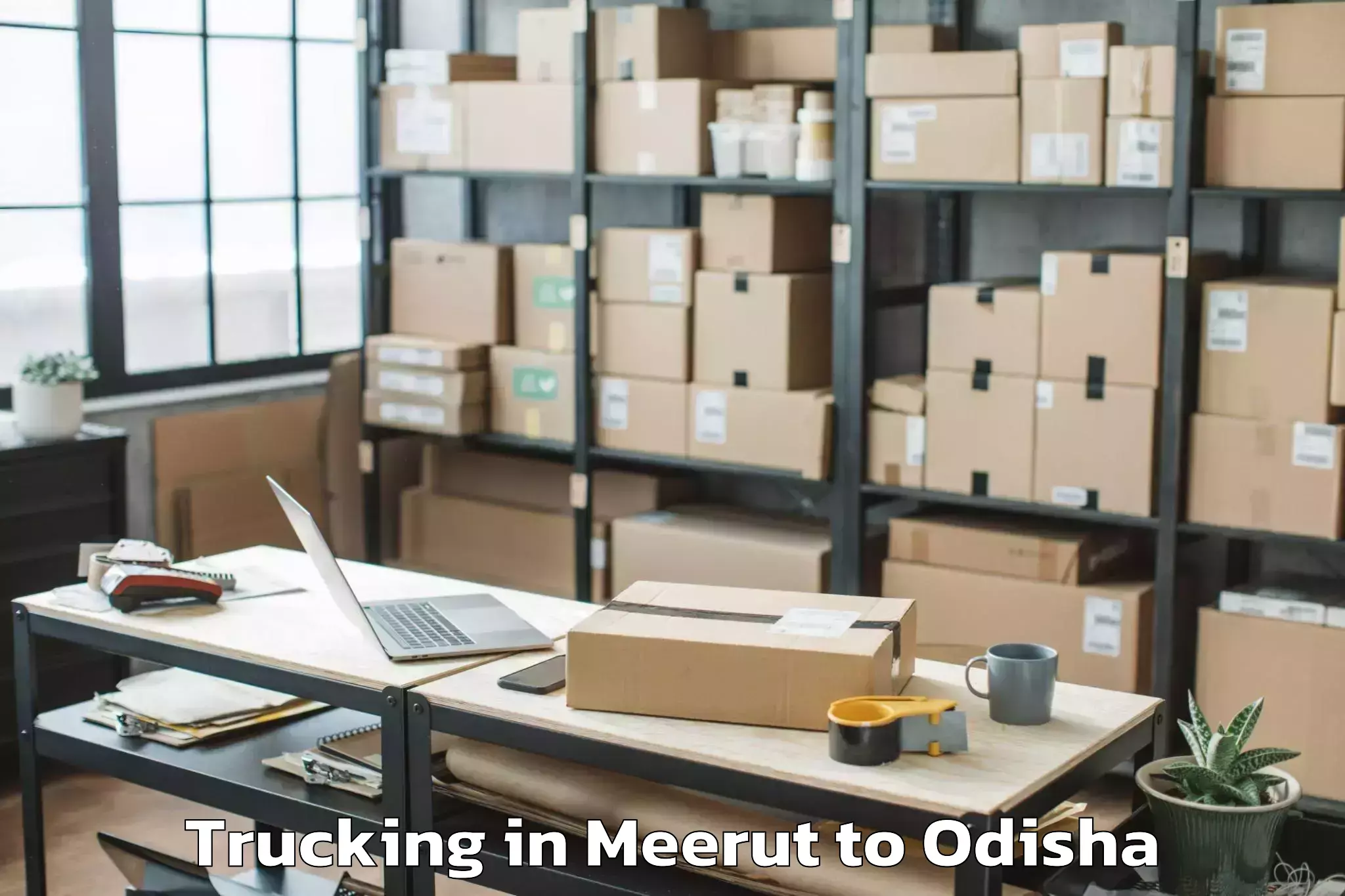 Quality Meerut to Brajarajnagar Trucking